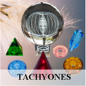 Tachyones